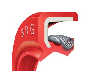 BRG